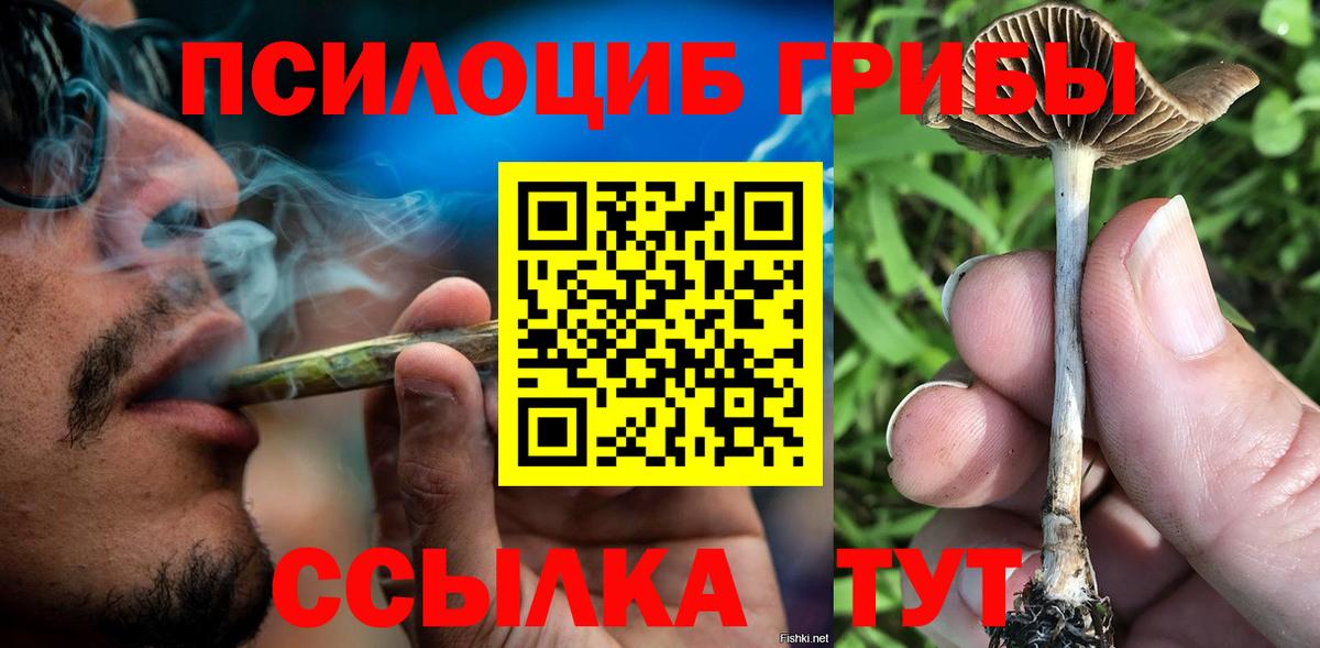 Псилоцибиновые грибы Magic Shrooms Людиново
